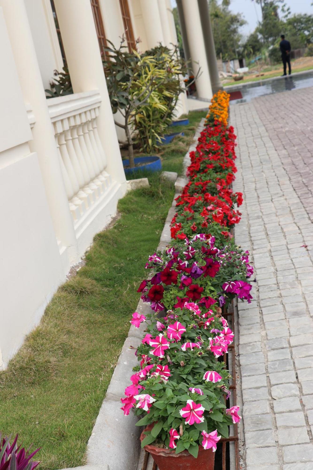 Royale De' Casa Resort Kāziranga Dış mekan fotoğraf