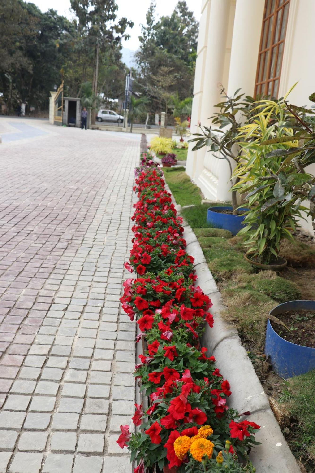 Royale De' Casa Resort Kāziranga Dış mekan fotoğraf