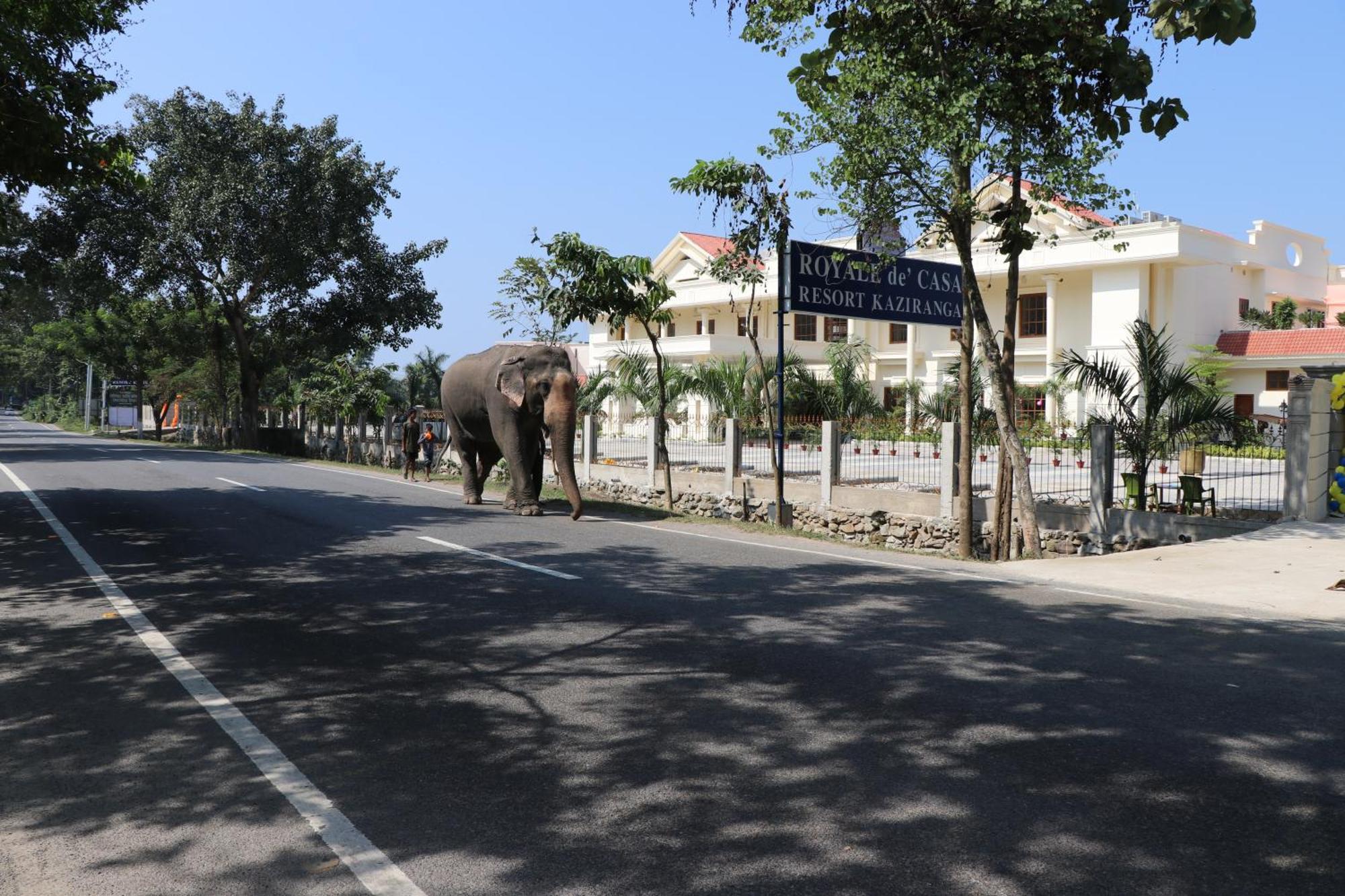 Royale De' Casa Resort Kāziranga Dış mekan fotoğraf
